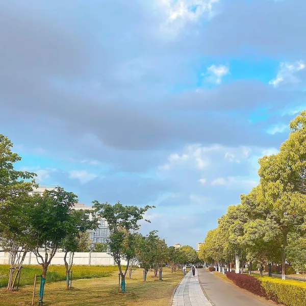 说说：#1720078520