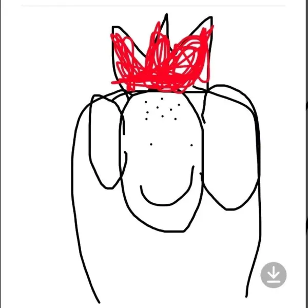 说说：#1721802544