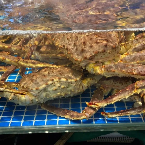 说说：就是各种吃咯~