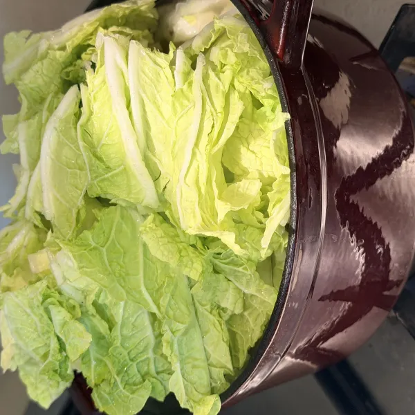 说说：近期分享~