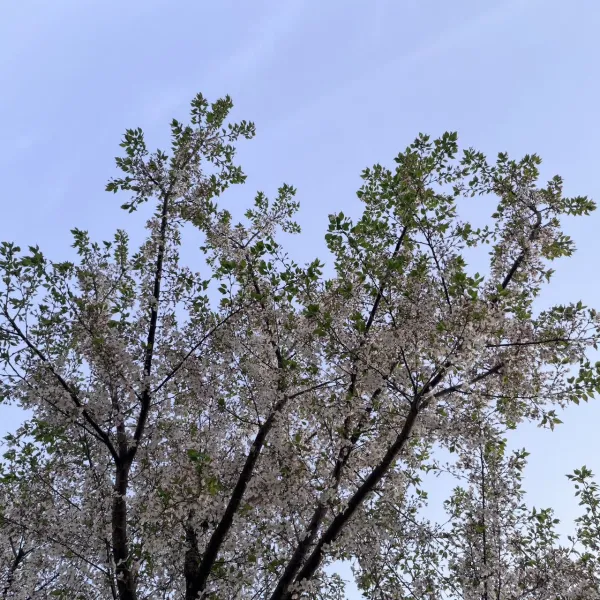 放假哪儿也没去